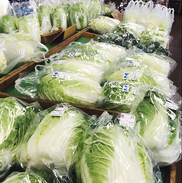 cabbage wrapped in plastic